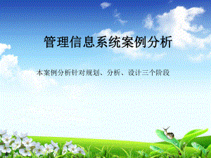 管理信息系统案例分析.ppt