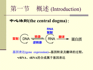 研究生分子生物学.ppt