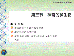 神奇的微生物.ppt