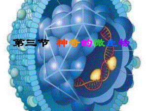 神奇的微生物1.ppt