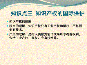 知识产权的国际保护.ppt