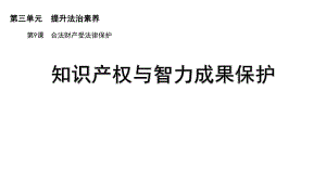 知识产权与智力成果保护.ppt