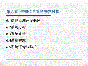管理信息系统开发过程.ppt