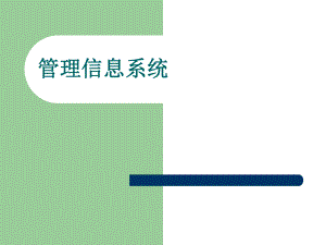 管理信息系统.ppt