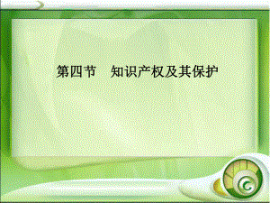知识产权及其保护素材.ppt