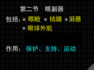 眼副器精品医学课件.ppt