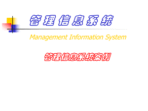管理信息系统案例.ppt