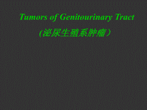 肾肿瘤英文版精品医学课件.ppt