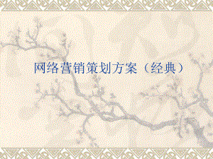 网络营销策划方案.ppt