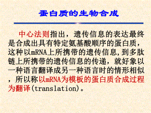 蛋白质的生物合成PPT医学课件.ppt