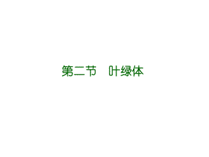 细胞生物学叶绿体.ppt