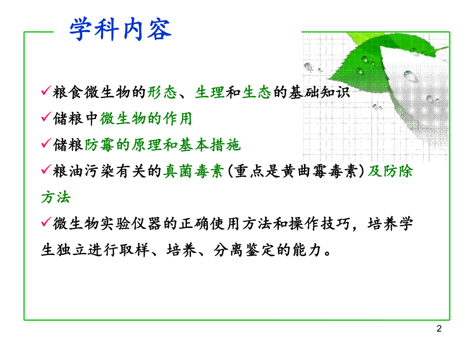 粮食微生物的形态.ppt_第2页