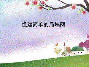 组建简单的局域网.ppt