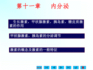 糖皮质激素的作用甲状腺激素(医学PPT课件).ppt