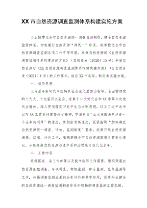 XX市自然资源调查监测体系构建实施方案.docx