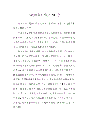 《赶年集》作文700字.docx