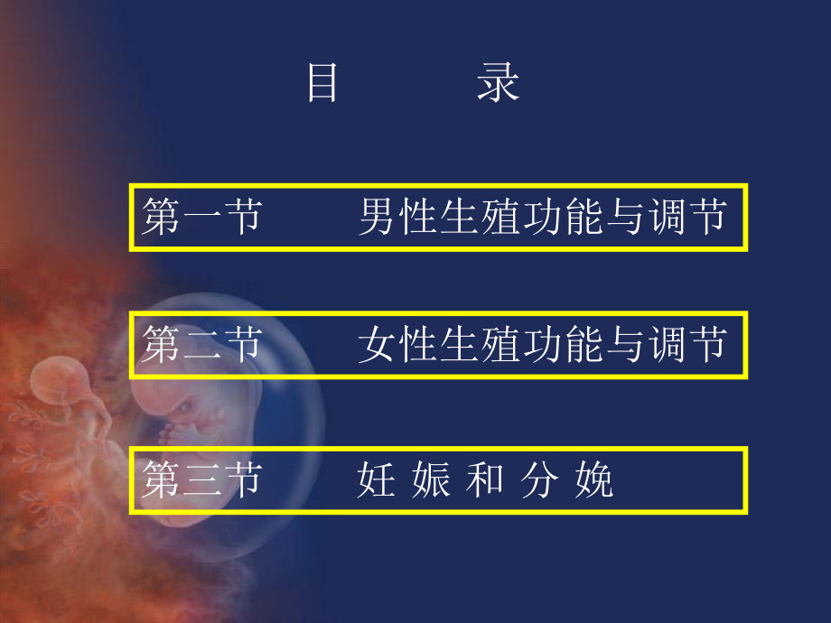 生理学生殖.ppt_第2页