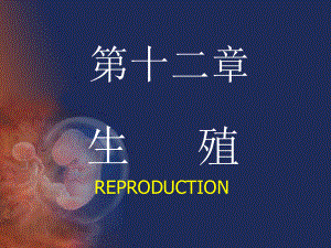 生理学生殖.ppt