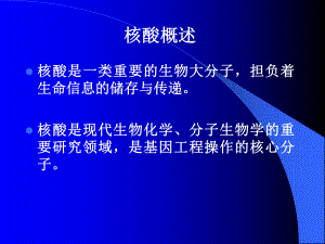 生物化学核酸.ppt