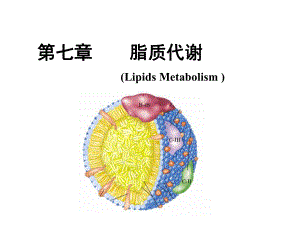生物化学脂质代谢.ppt