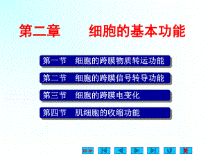 生理学课件2.ppt