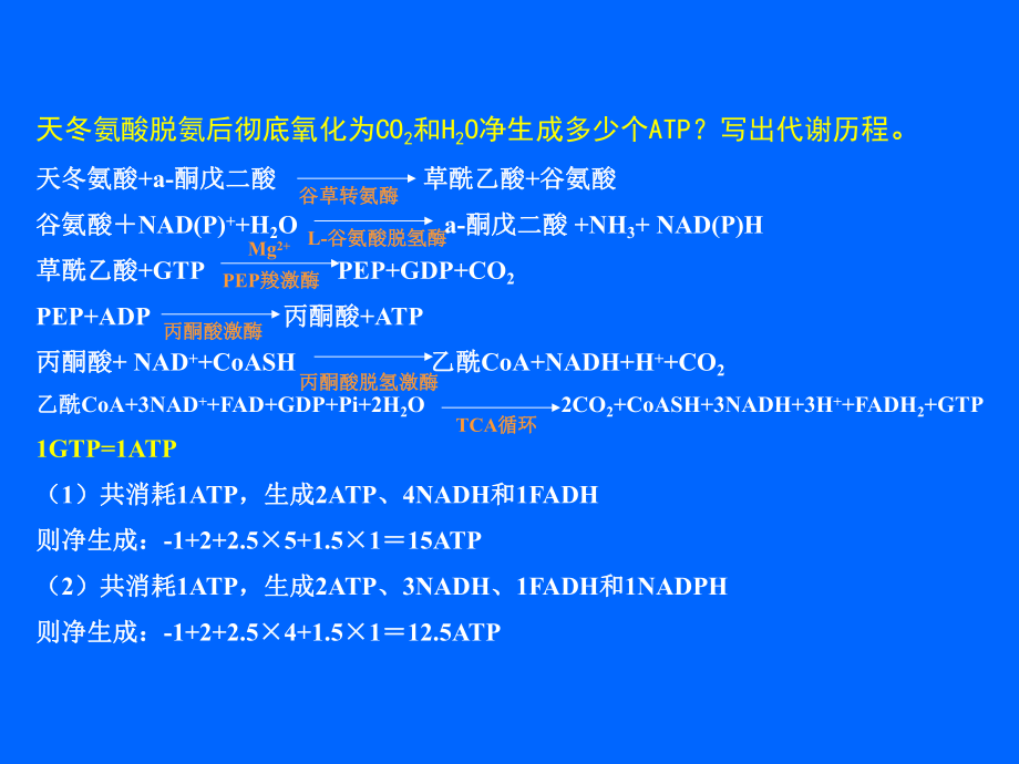 生物化学ATP的计算.ppt_第2页