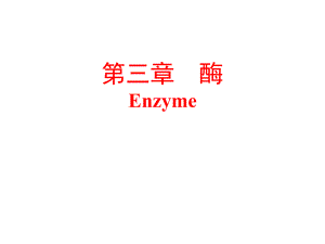 生物化学酶PPT.ppt
