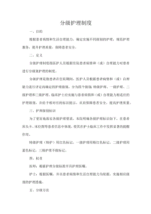 分级护理制度.docx