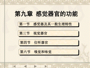 生理学第九章.ppt
