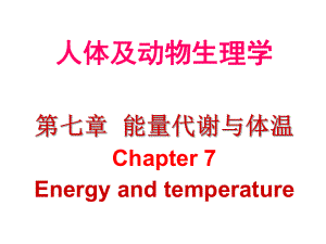 生理学能量代谢.ppt