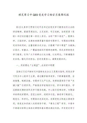 理论中心组党史学习教育开展情况总结报告.docx