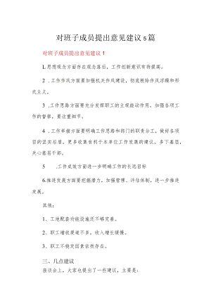 对班子成员提出意见建议5篇.docx