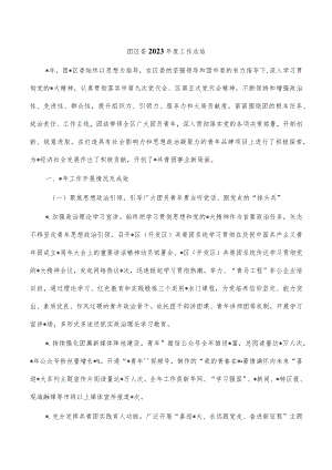团区委2023年度工作总结.docx