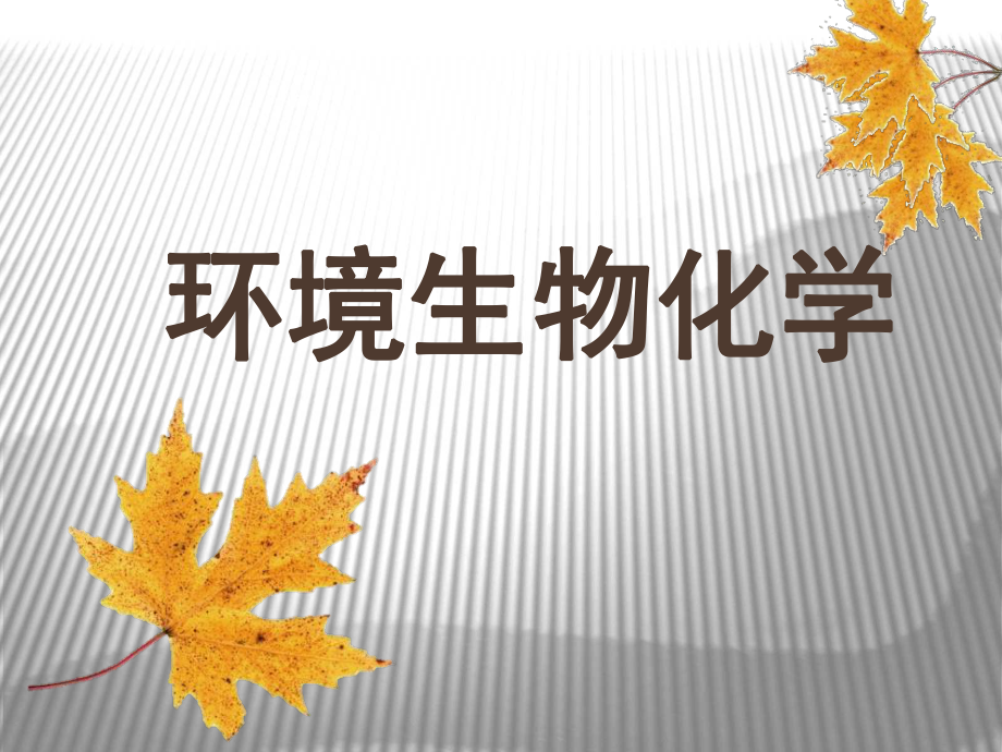 环境生物化学..ppt_第1页