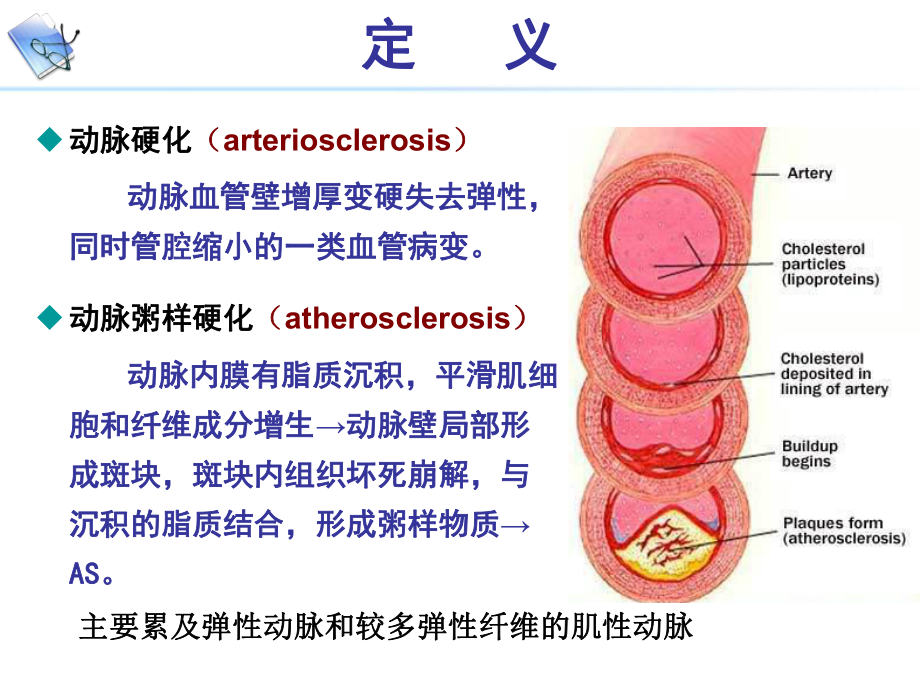 病理生理学AS.ppt_第2页