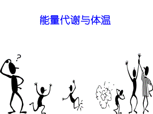 生理学能量代谢.ppt