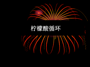 生物化学柠檬酸循环.ppt