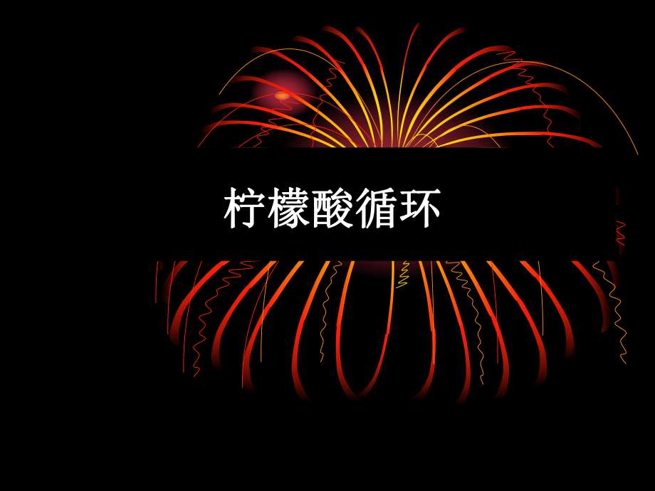 生物化学柠檬酸循环.ppt_第1页