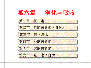 生理学消化与吸收.ppt
