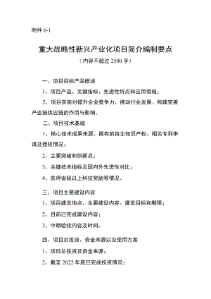 重大战略性新兴产业化项目简介编制要点.docx