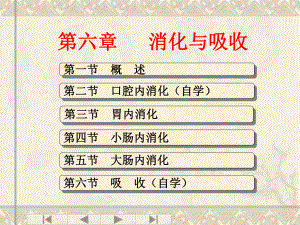 生理学——消化与吸收.ppt