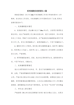 机构编制自查报告2篇.docx