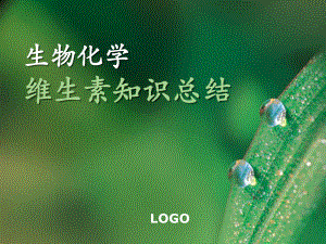 生物化学维生素知识总结.ppt