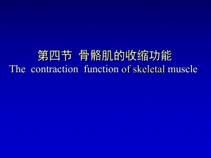 生理学——骨骼肌的收缩功能.ppt