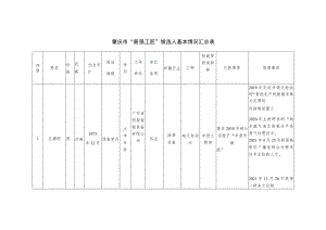 肇庆市“最强工匠”候选人基本情况汇总表.docx