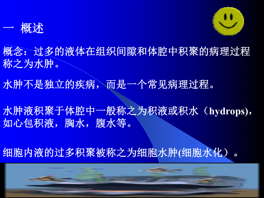 病理生理学水肿.ppt_第2页