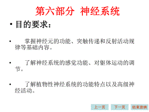 生理学课件神经系统(完整).ppt