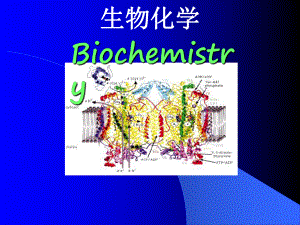 生物化学0226.ppt
