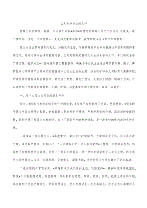 公司生活会上的点评.docx