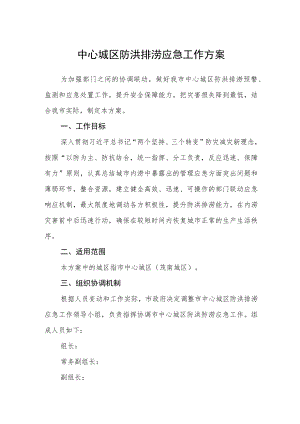 中心城区防洪排涝应急工作方案.docx